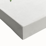 Romanticism Art: "Aralia Veitchii Leaf" by Alexander Lydon