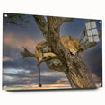 Acrylic print of a Kenyan landscape in muted earth tones, ideal for dining room decor.