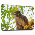 Acrylic print of a large abstract Madagascar landscape in earthy tones, ideal for bedroom or dining room wall art.