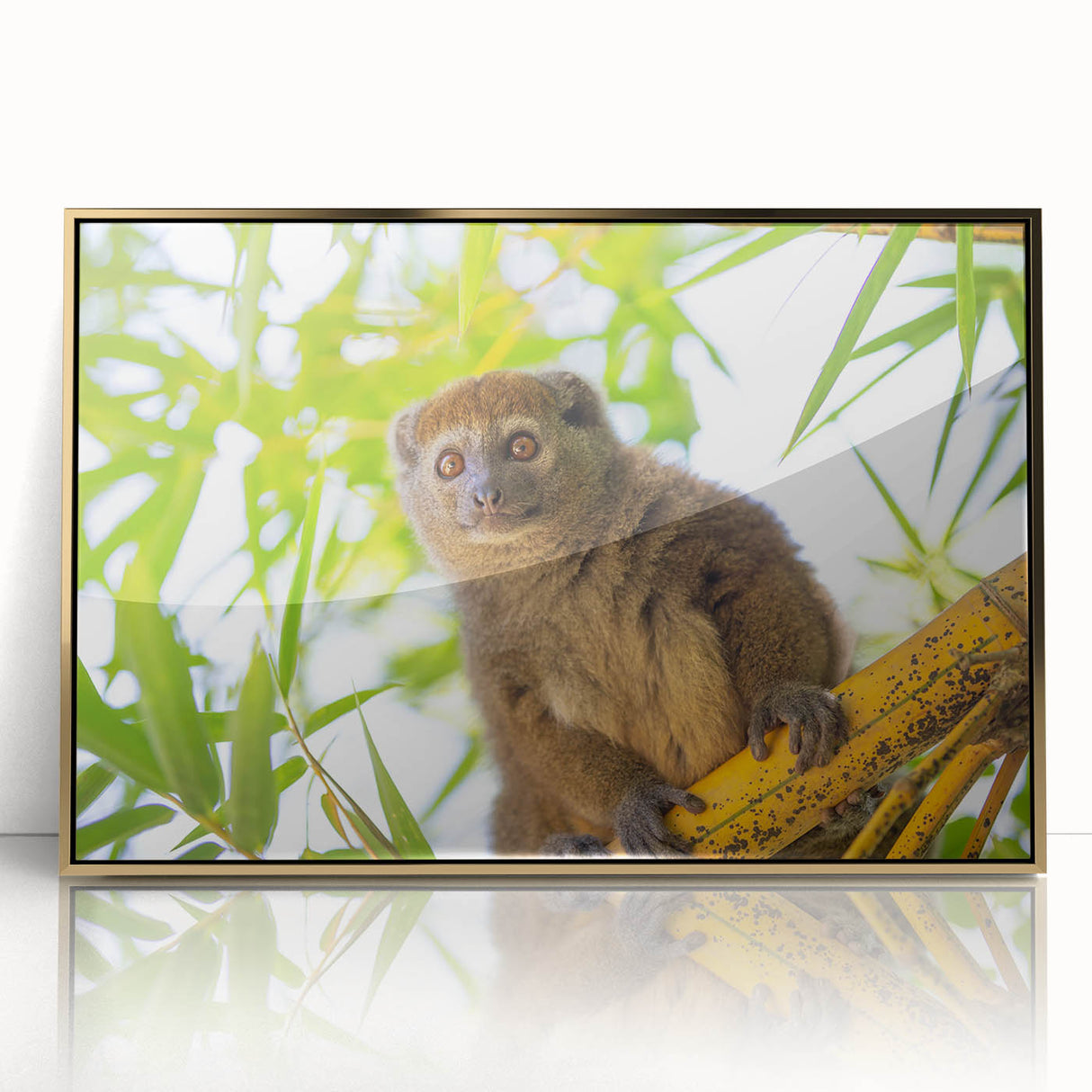 Mid-century modernist art depicting a Madagascar scenery in gold and green tones on a framed acrylic.