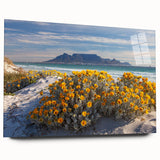 Large abstract wall art featuring a South African scenery in muted earth tones on acrylic glass.