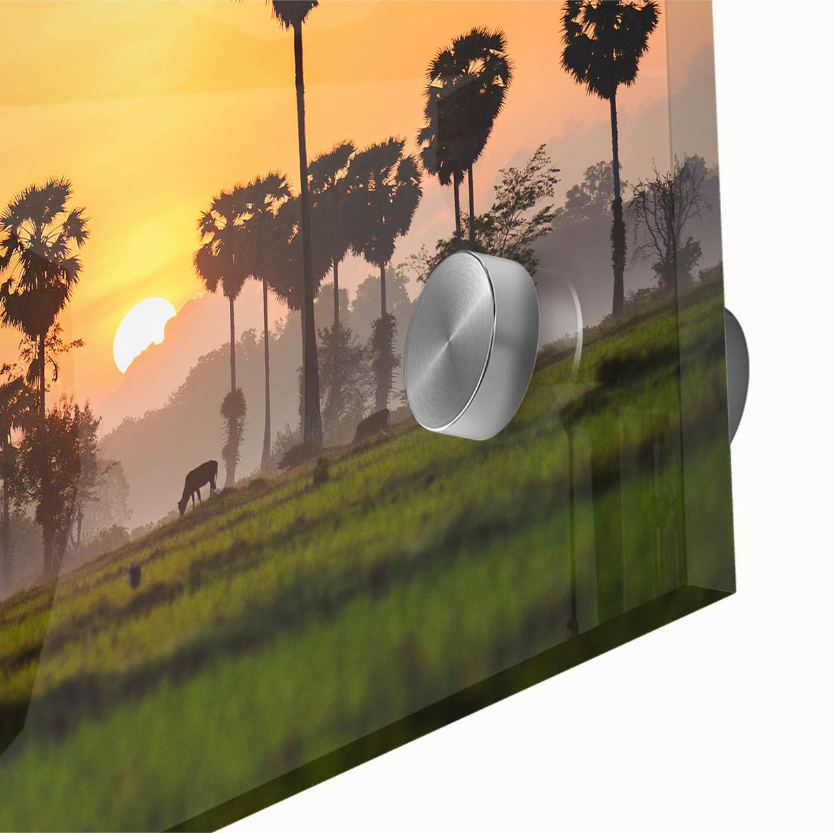 Mid-century modernist style large abstract art print of a Cambodian scenery on acrylic glass, ideal for dining room art.