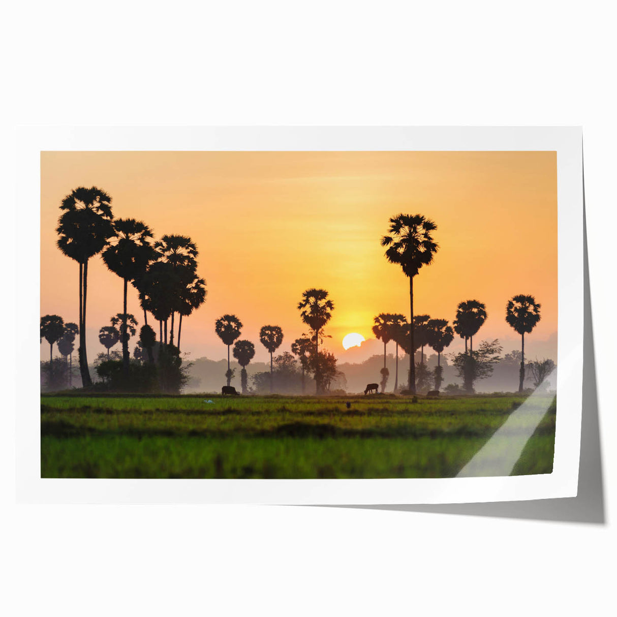 Extra large rolled print featuring a serene Cambodian landscape with lush greenery and flowers.