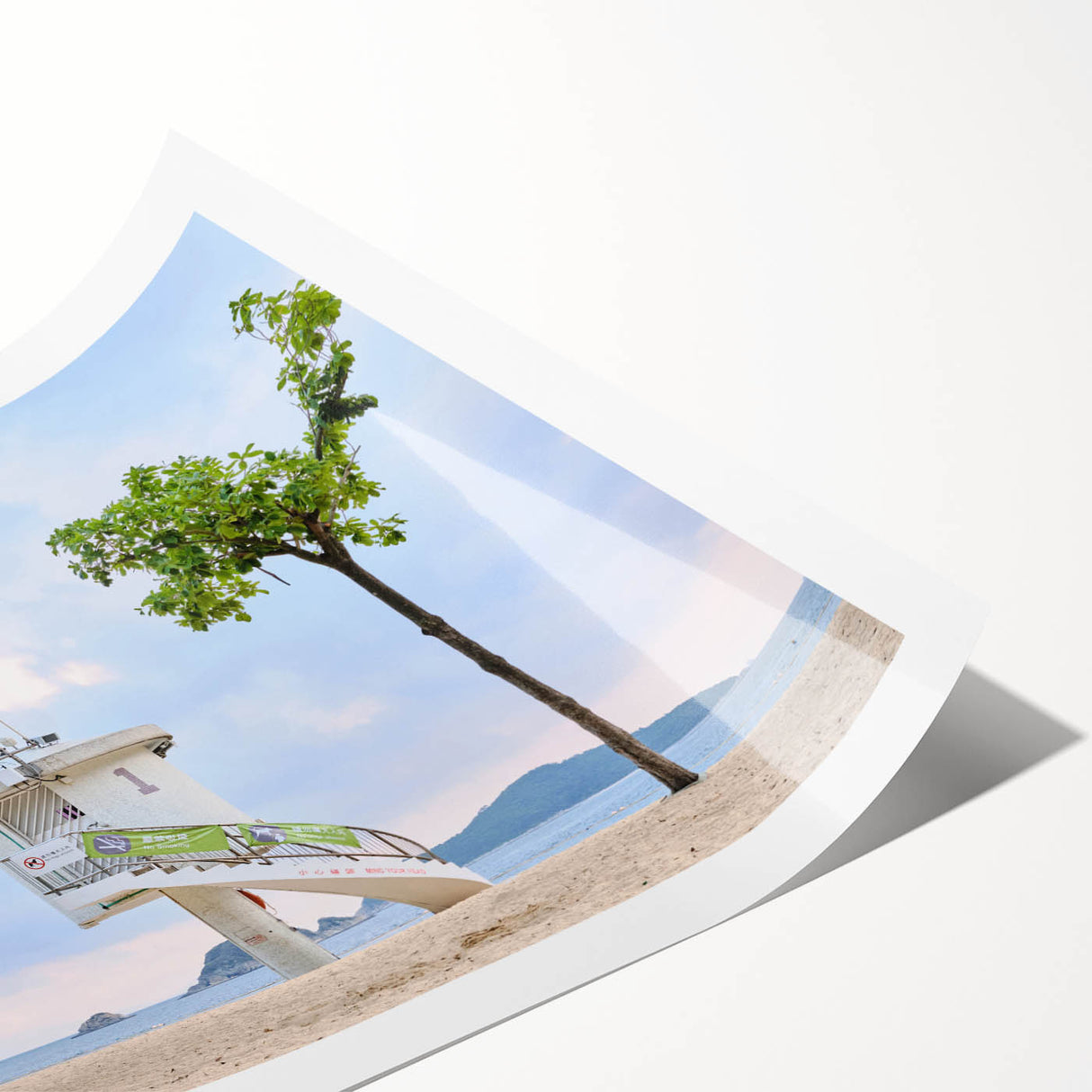 Extra large rolled print featuring line art flowers with Hong Kong scenery in soft pastel shades.