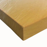 Large art of a black and white landscape painting on stretched canvas, depicting serene Indian scenery.