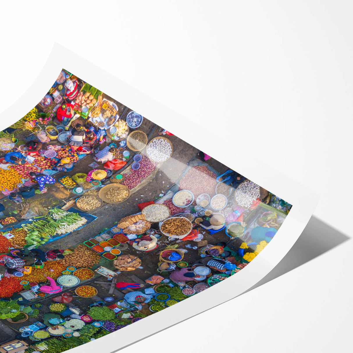Extra large wall art featuring line art flowers with delicate floral motifs in a minimalistic style.
