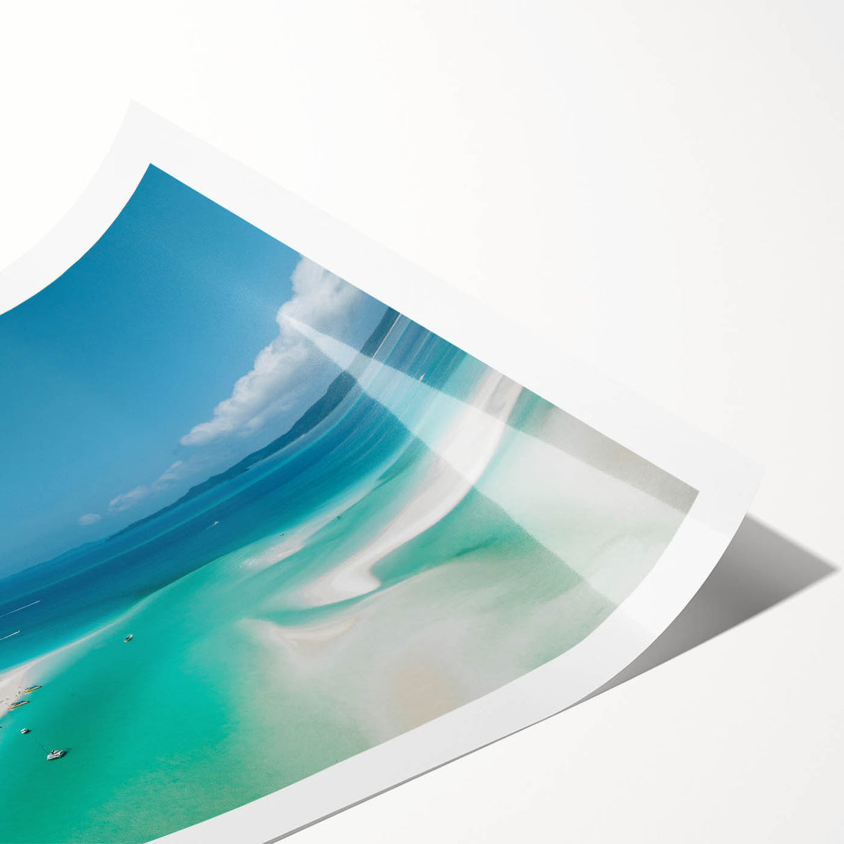 Extra large wall art featuring a line art depiction of the Great Barrier Reef in soft blue and green tones.