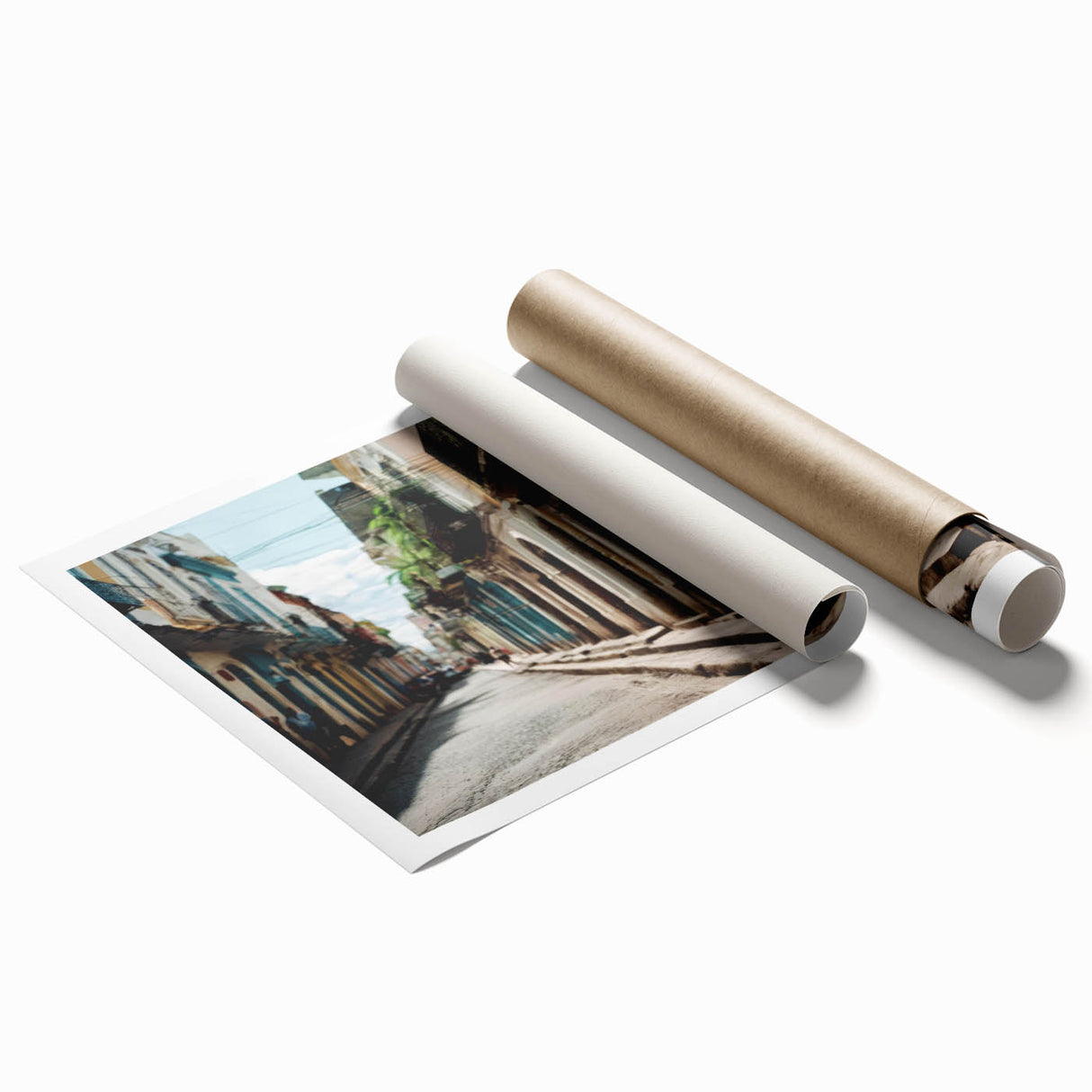 Extra large rolled print of a Caribbean scenery with vibrant tropical floral elements, ideal for classy bathroom wall art.
