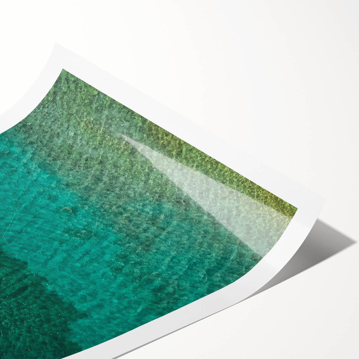 Extra large wall art featuring line art flowers with vibrant Caribbean scenery on a rolled print.