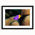 Colorful abstract art print of Caribbean scenery on a large, textured canvas, framed in black, ideal for living room decor.