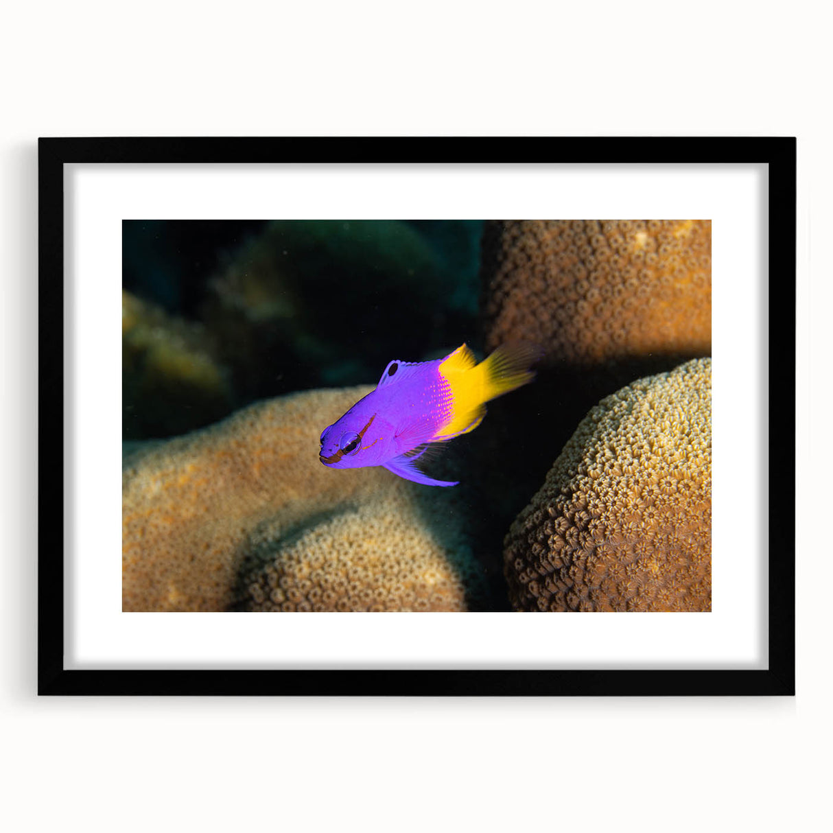 Colorful abstract art print of Caribbean scenery on a large, textured canvas, framed in black, ideal for living room decor.