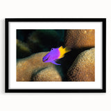 Colorful abstract art print of Caribbean scenery on a large, textured canvas, framed in black, ideal for living room decor.
