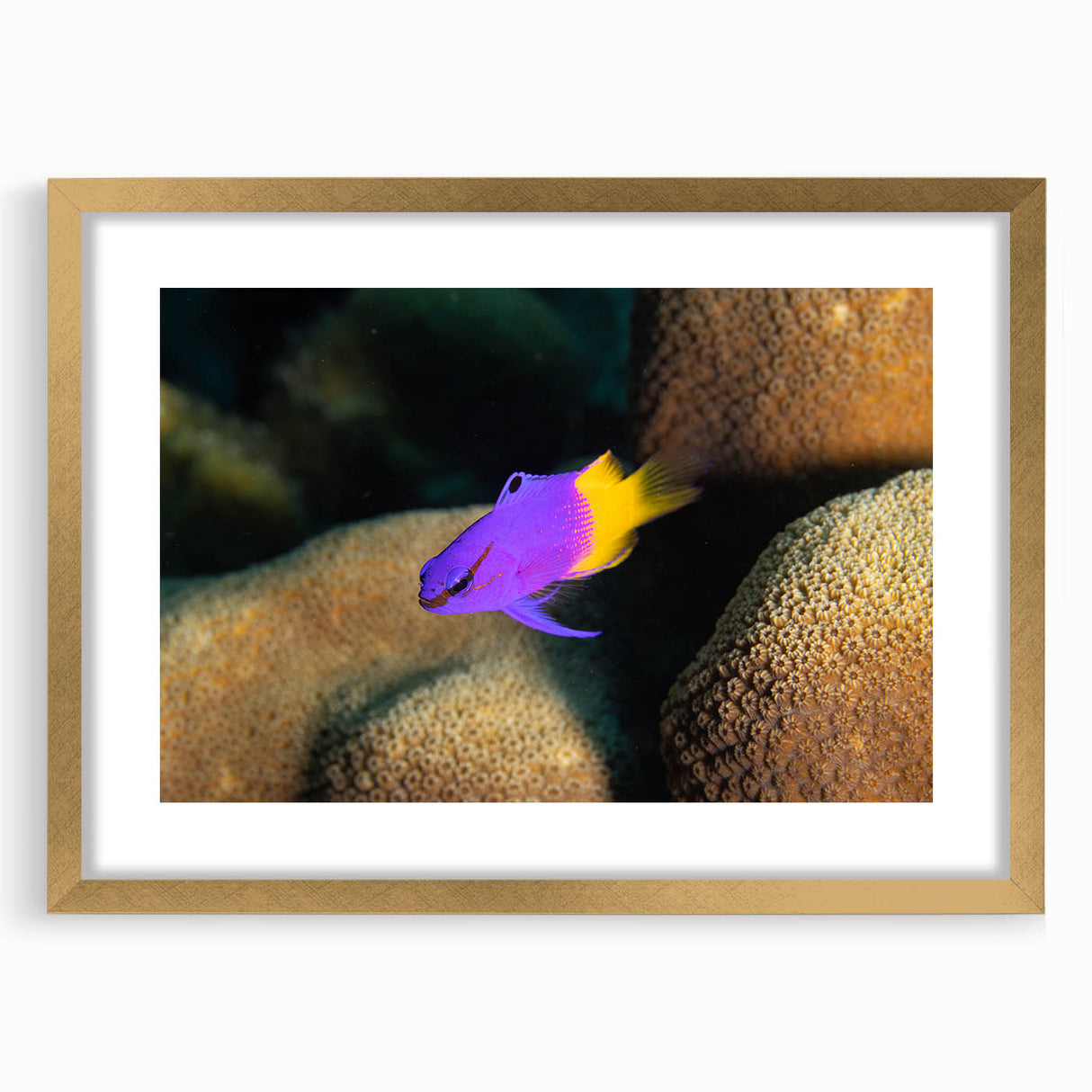 Abstract art print of Caribbean Virgin Islands in muted blue and green tones on a framed gold mat.