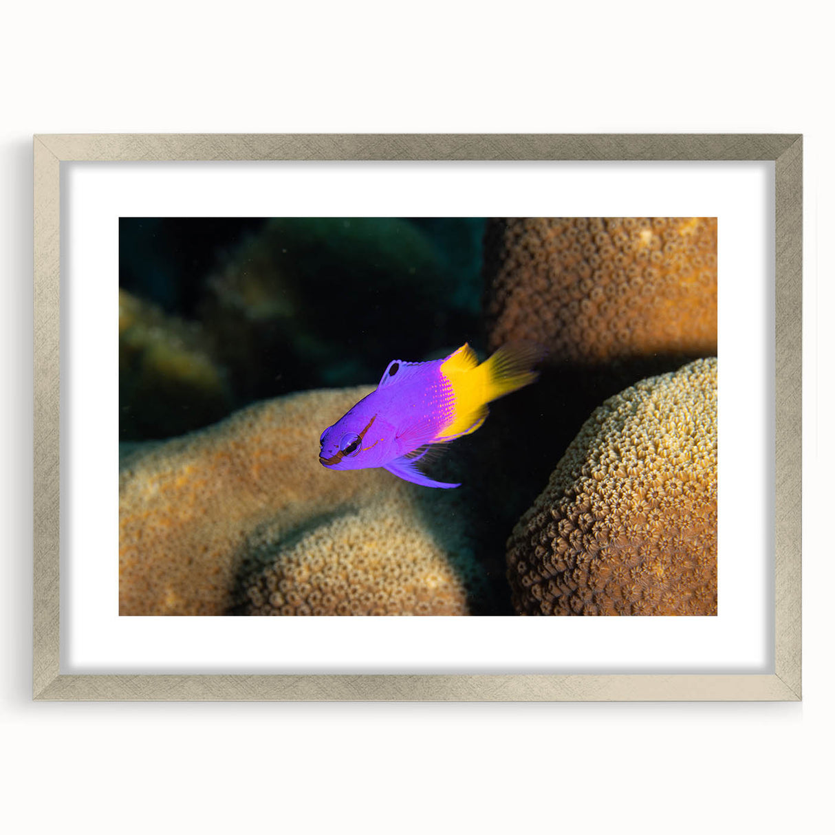 Extra large framed wall art depicting an abstract Caribbean scenery in textured blues and greens.