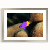 Extra large framed wall art depicting an abstract Caribbean scenery in textured blues and greens.