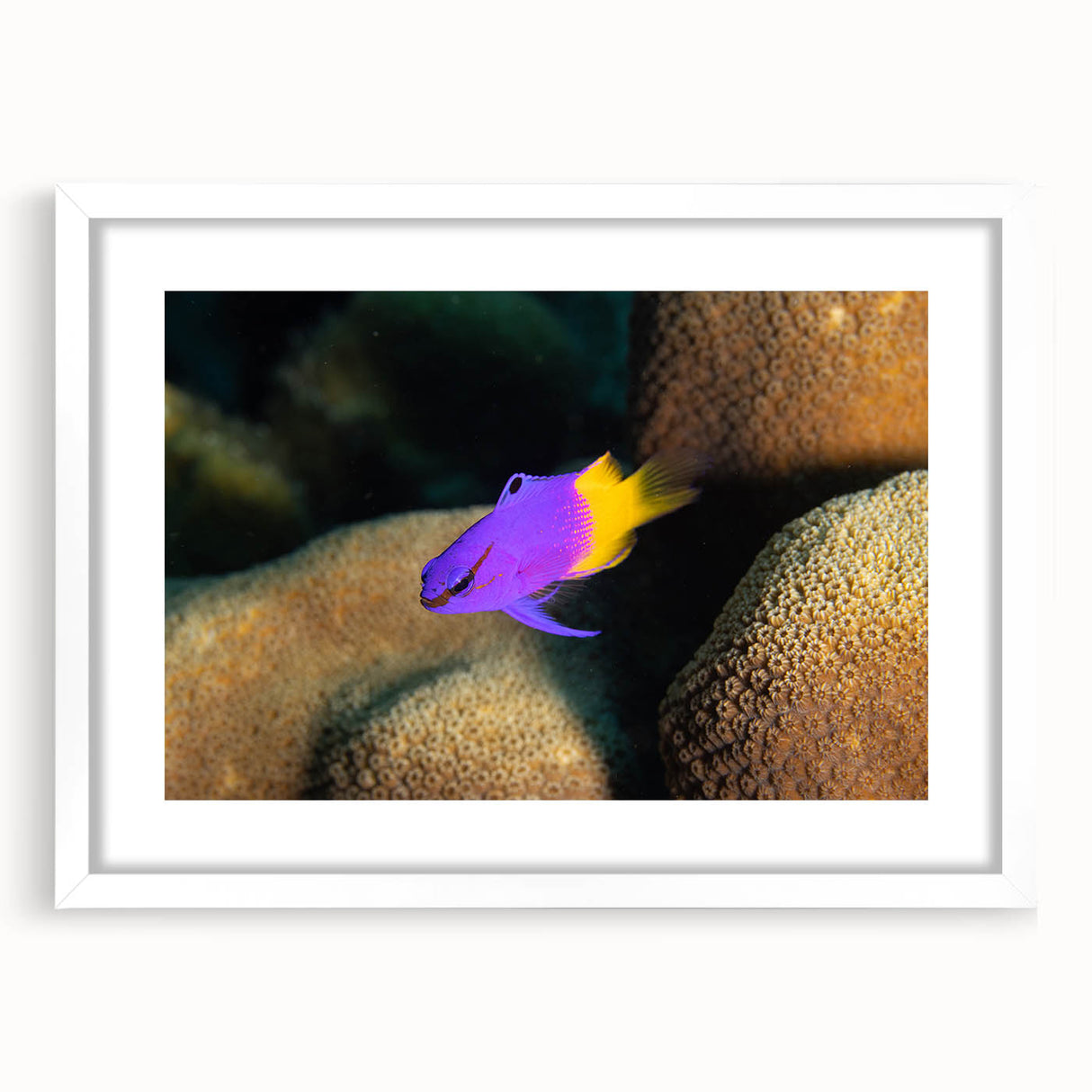 Textured art print of the Caribbean Virgin Islands in abstract style, framed with a white mat, suitable for bedroom decor.