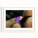 Textured art print of the Caribbean Virgin Islands in abstract style, framed with a white mat, suitable for bedroom decor.