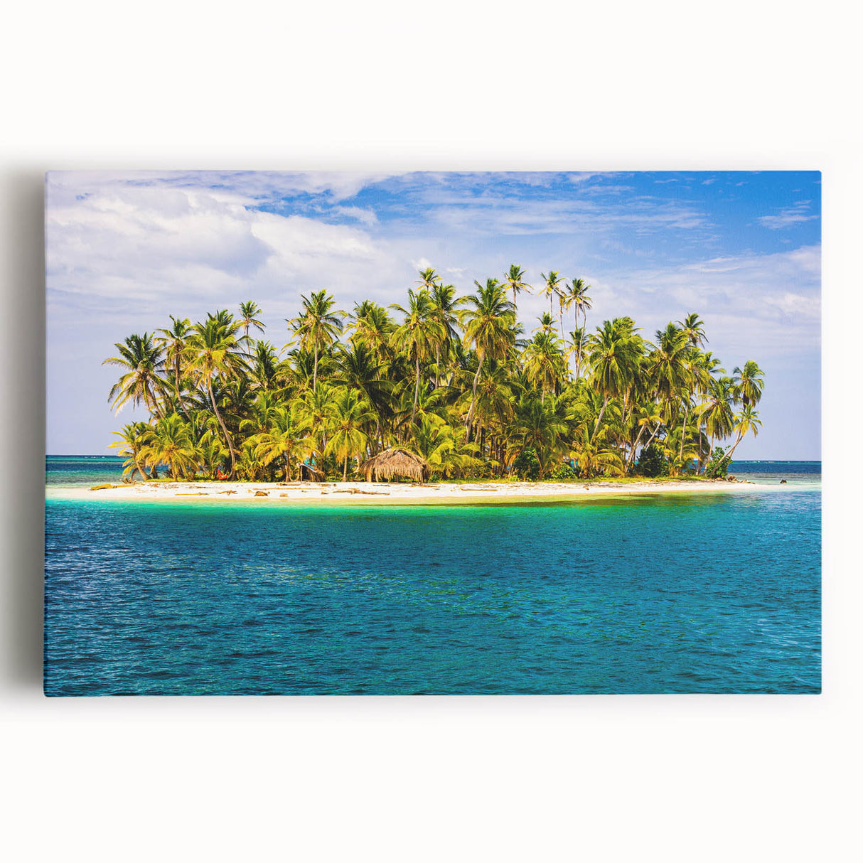 Black and white stretched canvas print of Panama scenery, large format, ideal for kitchen wall art.
