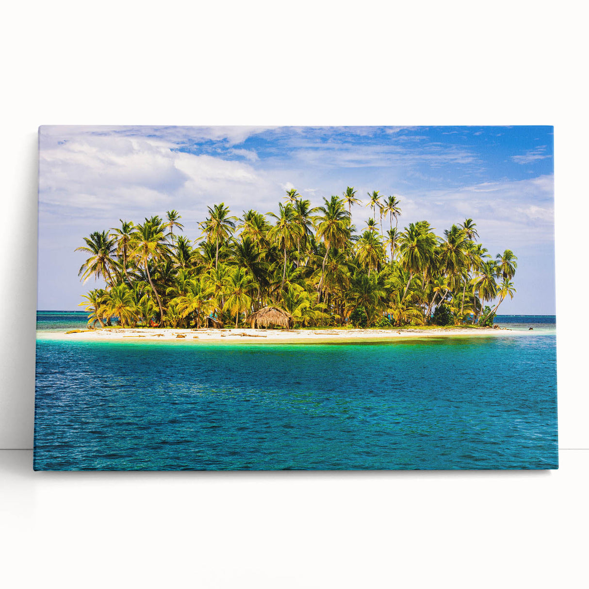 Black and white stretched canvas of Central America scenery, ideal for kitchen wall art.