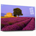 Large abstract wall art of a Provencal landscape in muted earth tones, printed on acrylic glass.
