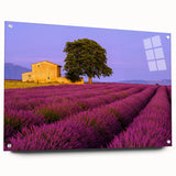 Large abstract wall art of a Provencal landscape in muted earth tones, printed on acrylic glass.