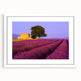 Textured art depicting an abstract scenery of Provence, France, in muted earth tones, framed with a white mat.