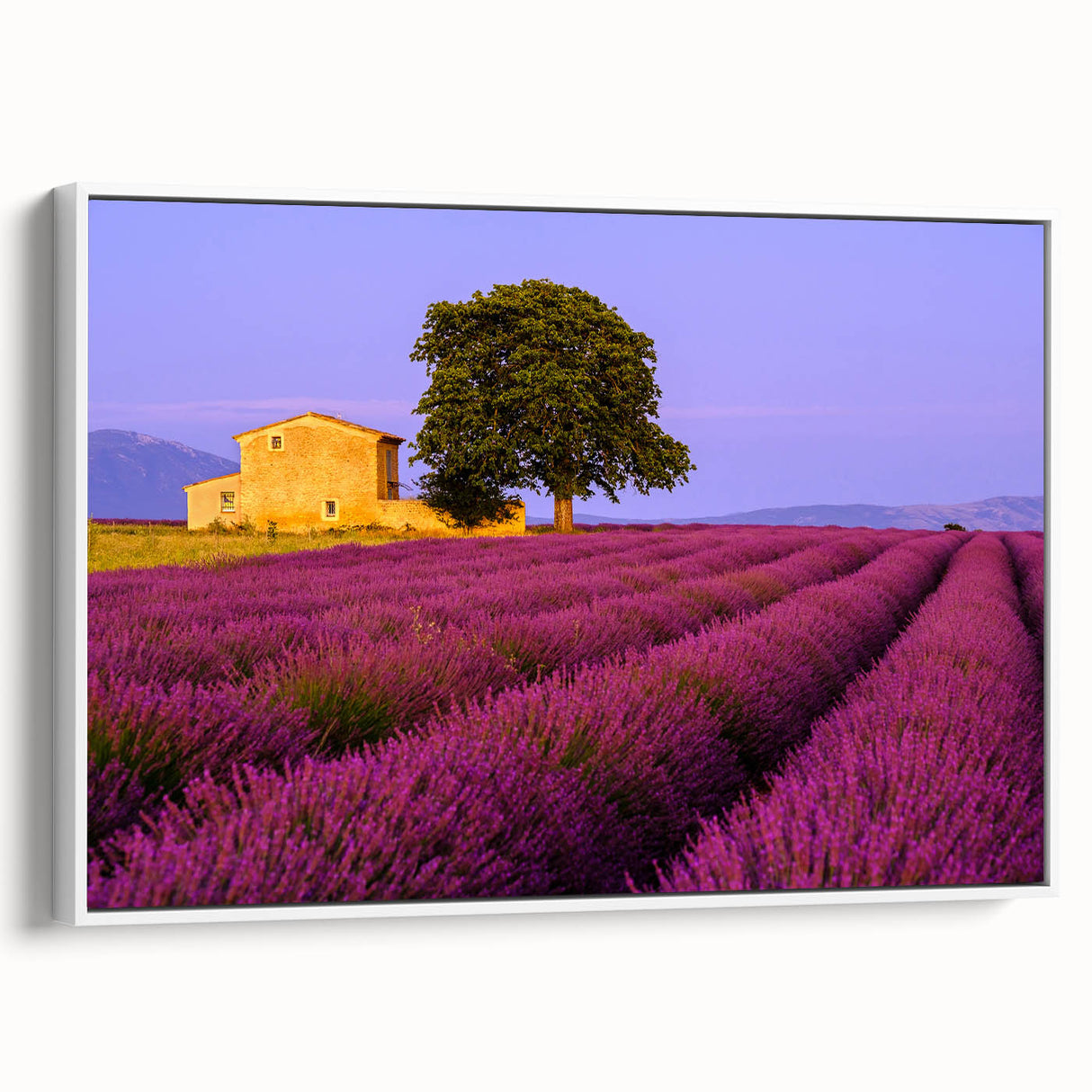 Vintage poster art of a Provence, France landscape in vibrant colors on extra large framed canvas.