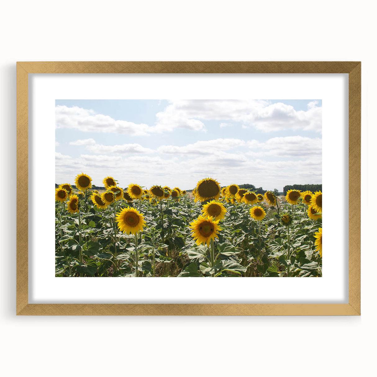 Abstract art print of a Southern France landscape in muted earth tones on a framed canvas, suitable for dining room decor.