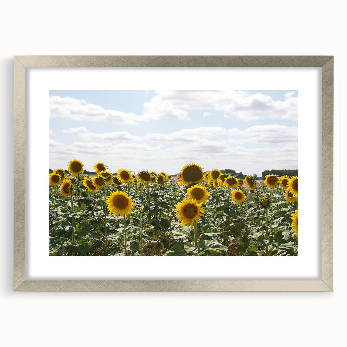 Extra large abstract art print of a textured southern France scenery in muted earth tones, framed in silver.