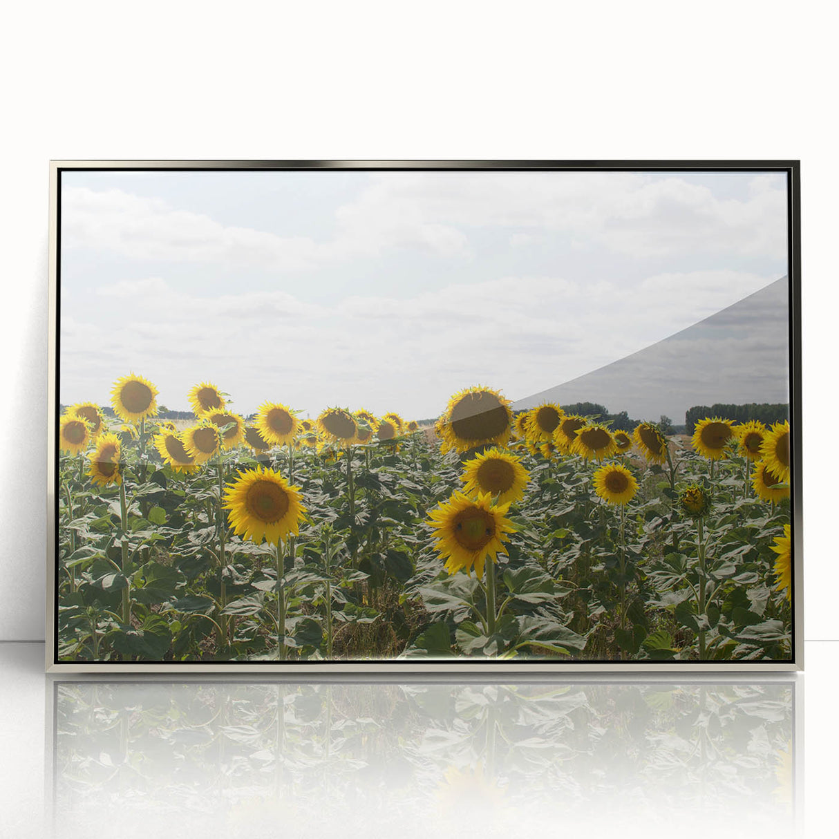 Large art print of a mid-century modernist South France scenery in silver-framed acrylic, ideal for modern art wall decor.