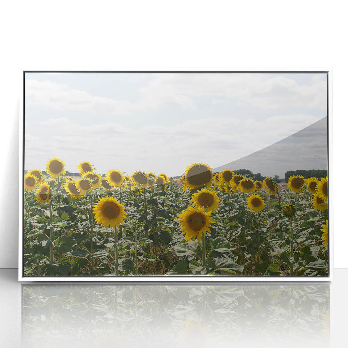 Mid-century modernist art depicting a serene French southern landscape on a white-framed acrylic print.