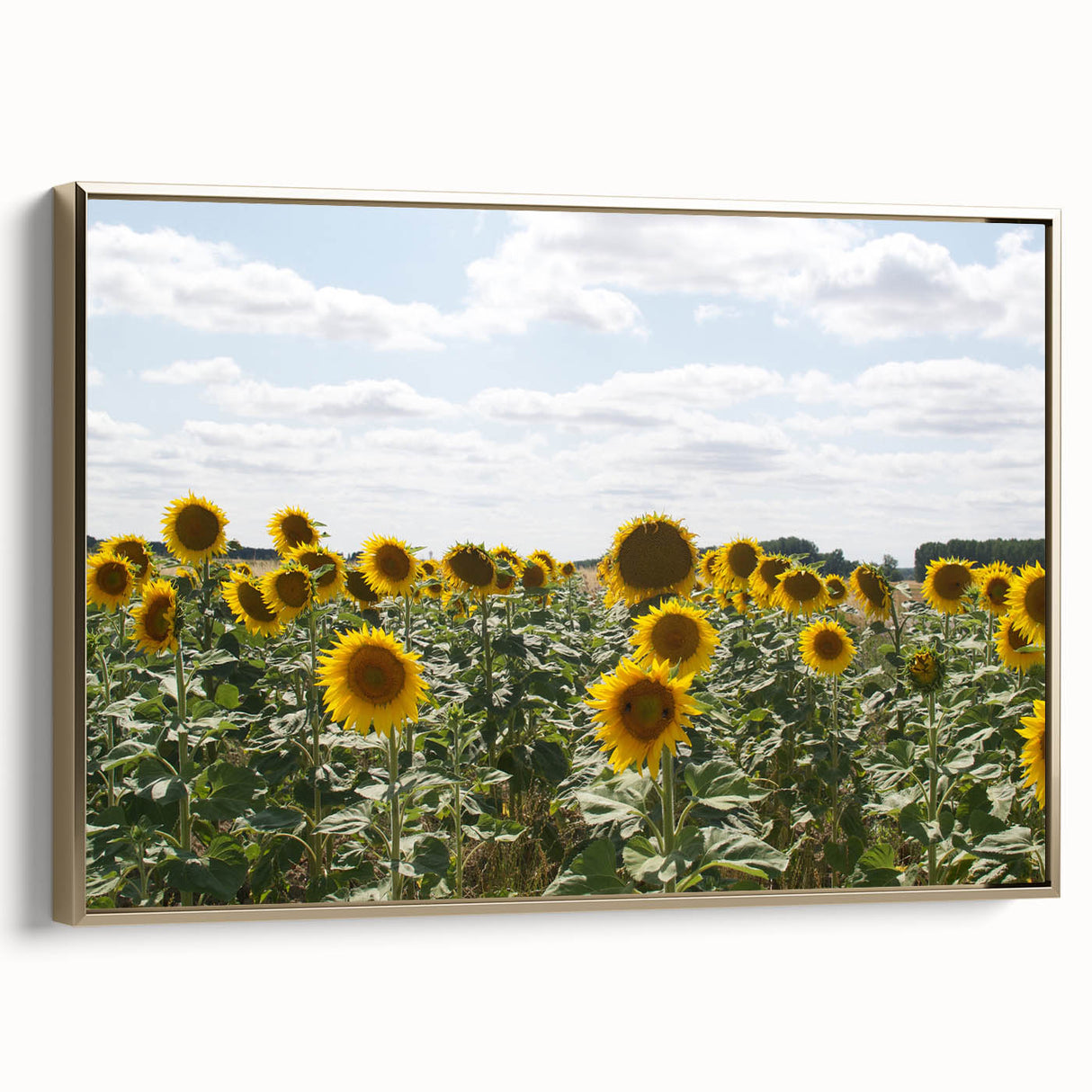 Framed canvas wall art depicting a vintage-style landscape painting of southern France, in muted gold and black tones.