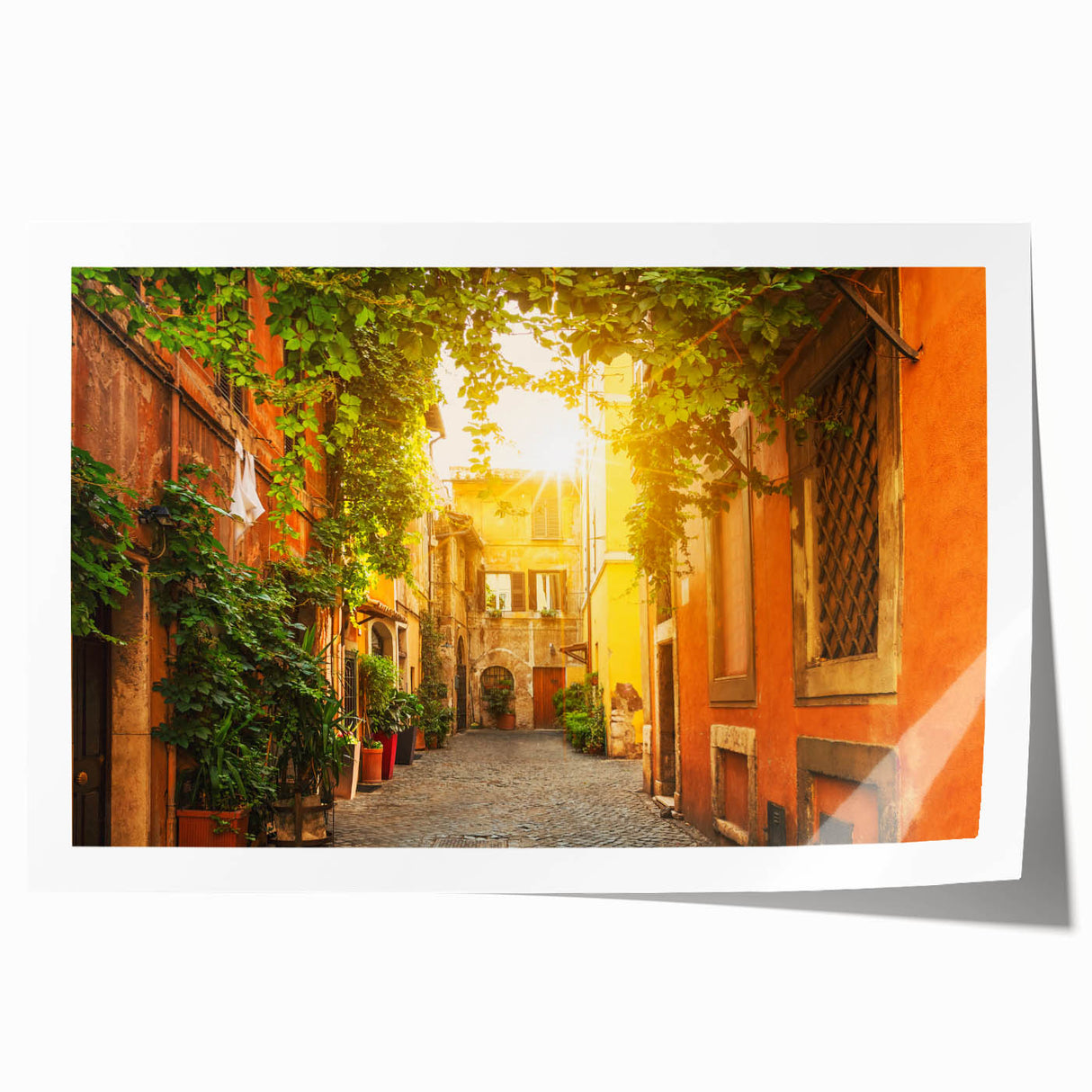 Extra large rolled print of Rome with vibrant floral foreground, ideal for art wall dining room.