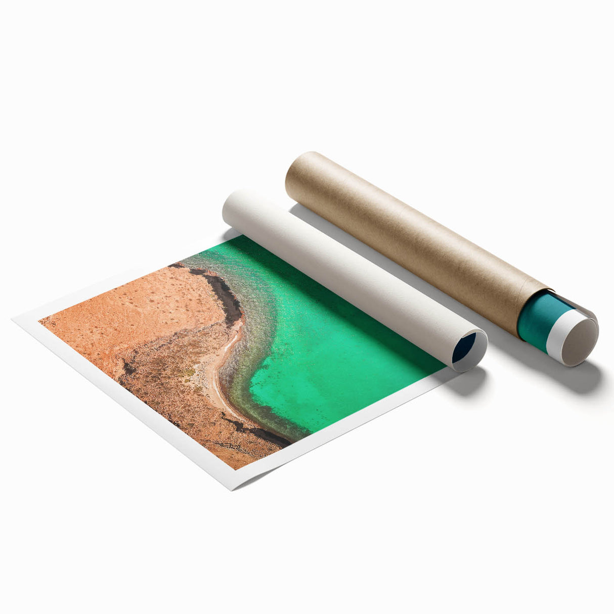 Extra large rolled print of Baja California scenery with vibrant floral elements, ideal for classy bathroom wall art.