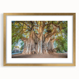 Extra large abstract art print of Oaxaca scenery in textured style, with gold frame, ideal for living room decor.