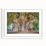 Abstract art print of Oaxaca scenery in muted earth tones on a white framed mat, suitable for dining room decor.