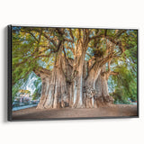 Black and white framed canvas of Oaxaca landscape, vintage poster art style, ideal for bedroom decor.