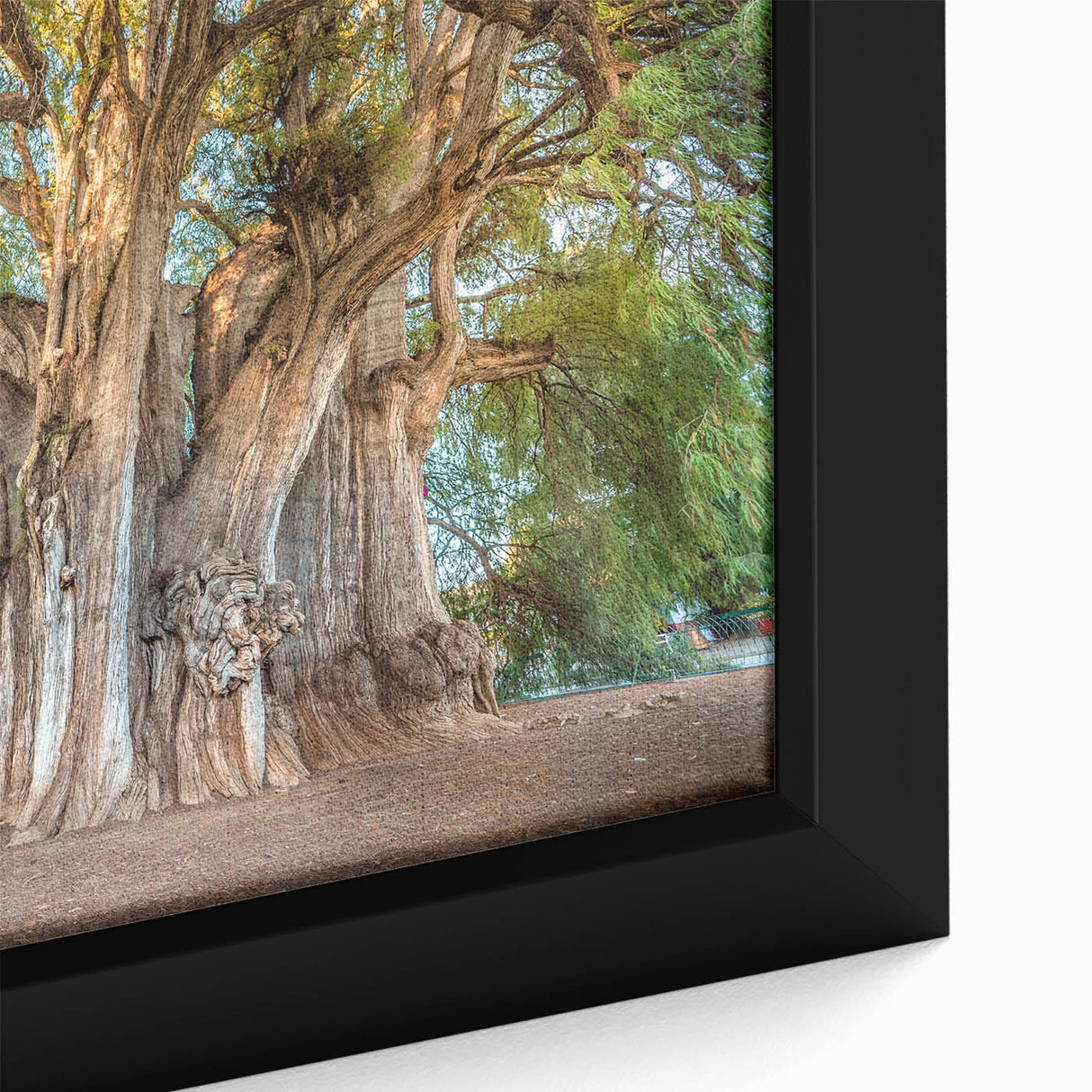 Black wall art depicting a textured scene of Oaxaca with vibrant, colorful details on a large framed canvas.