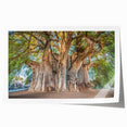 Rolled print of Oaxaca, Mexico scenery with vibrant floral elements in a large format, ideal for dining room wall art.