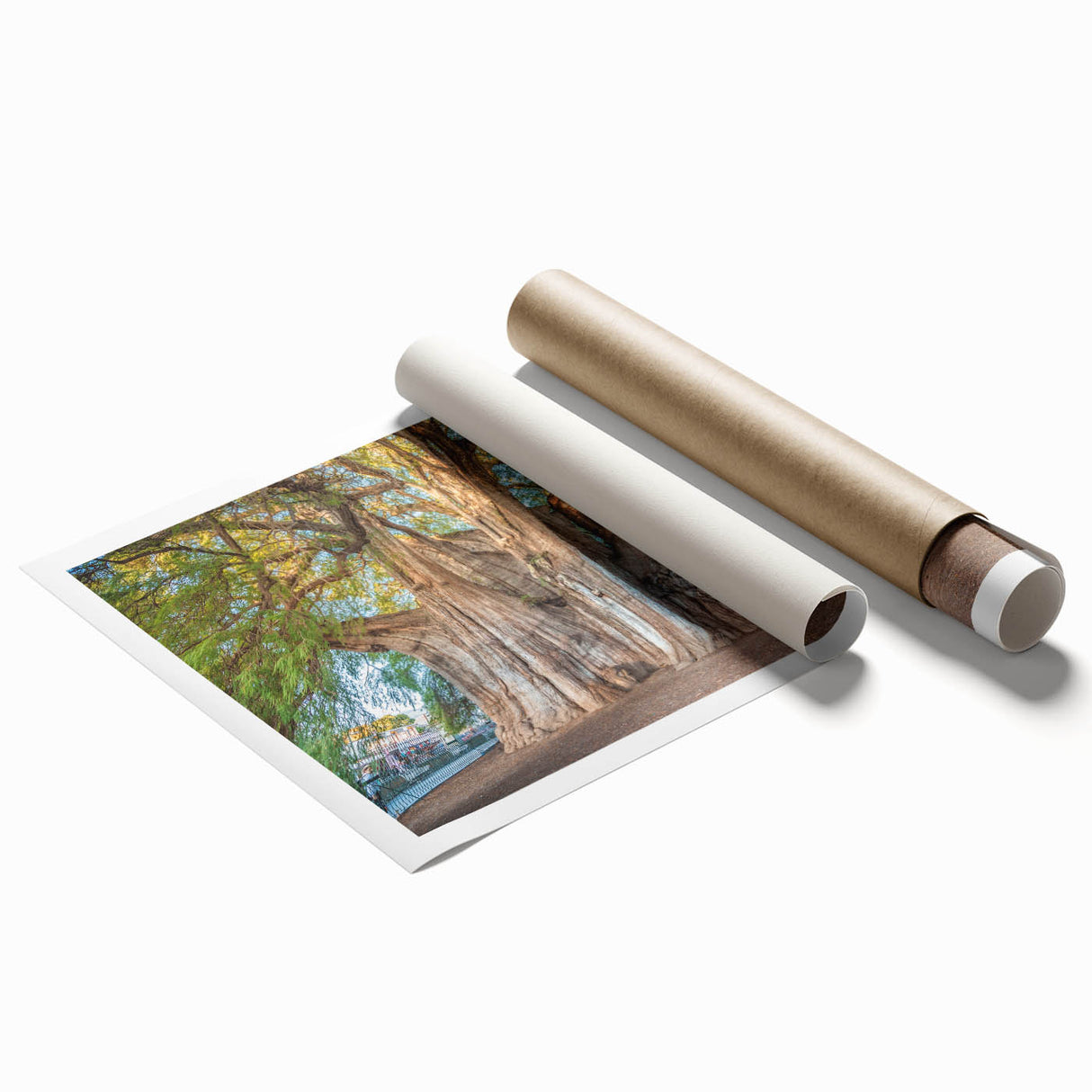 Extra large rolled print depicting vibrant floral art from Oaxaca, ideal for classy bathroom wall decor.
