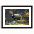 Extra large canvas featuring abstract textured art with vibrant hues of blue and orange, ideal for living room decor.