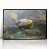 Large abstract wall art featuring swirling blue and white patterns, framed in black acrylic.