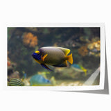 Extra large rolled print featuring a serene Micronesian oceanic scenery with vivid blue and green tones.