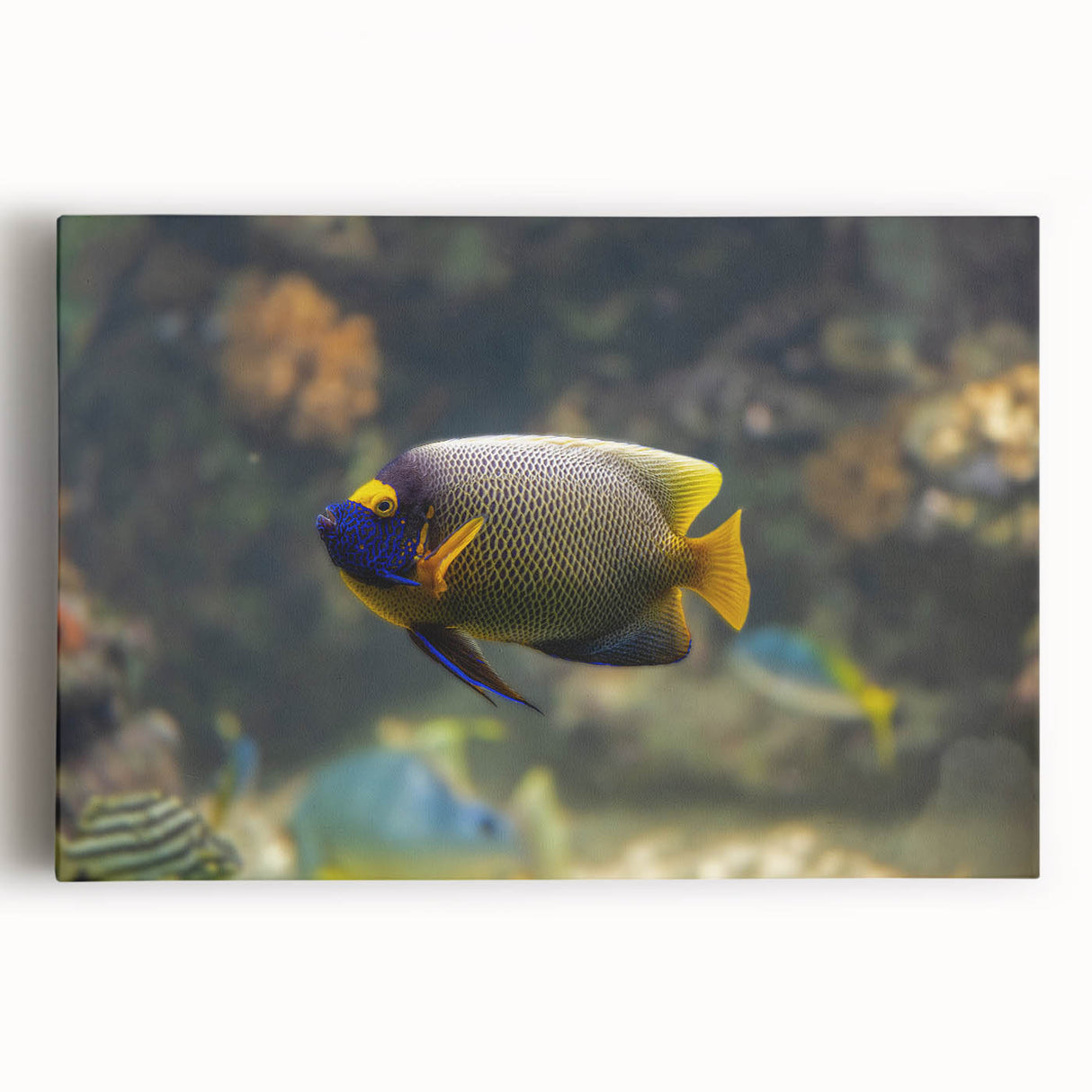 Black and white oceanic scenery on large stretched canvas, suitable for kitchen wall art.