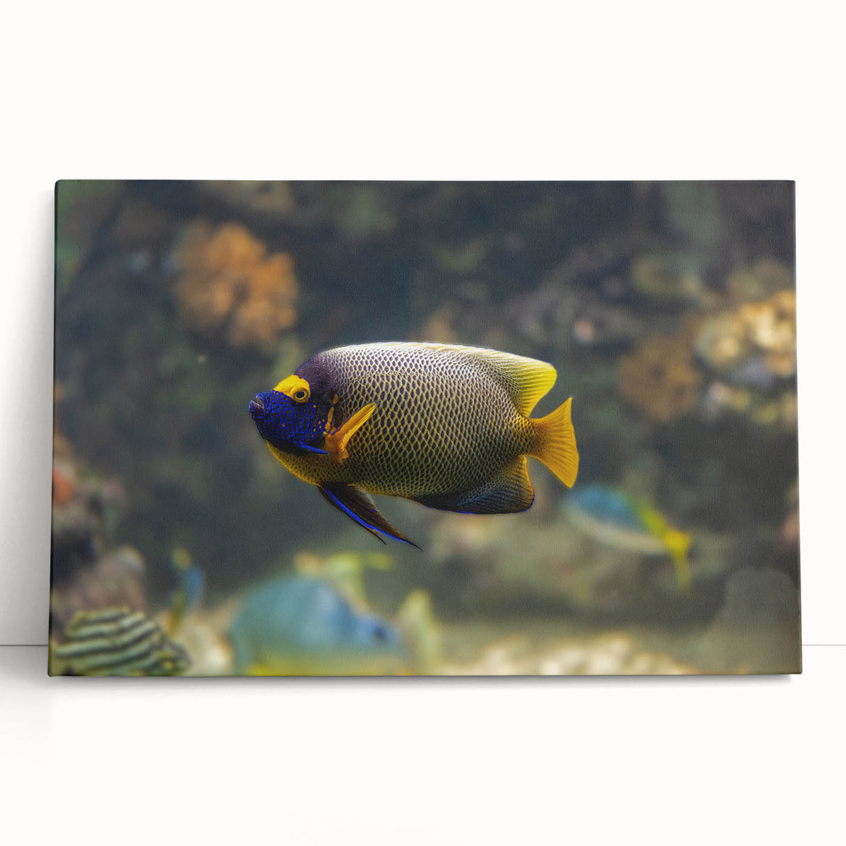 Black and white stretched canvas depicting Micronesia scenery, ideal for kitchen wall art or bedroom ambiance.