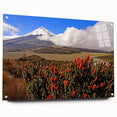 Large abstract wall art depicting a South American scenery on acrylic glass, in vibrant earth tones.
