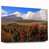 Large abstract wall art depicting a vibrant South American landscape on acrylic glass.