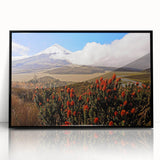 Large abstract wall art depicting a vibrant South American landscape, framed in black acrylic.