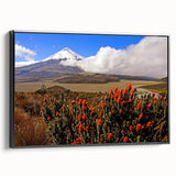 Black and white framed canvas of a vintage Ecuador landscape, ideal for bedroom wall art.