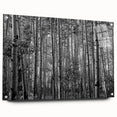 Acrylic print of Telluride, Colorado scenery in muted earth tones, ideal for bedroom or dining room decor.